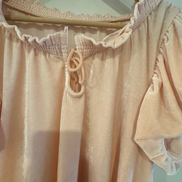 Free People Terese Velour Ruffle Sleeve Top in Pink Tint Size M - Picture 9 of 11
